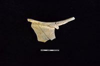 陶罐藏品圖，第2張